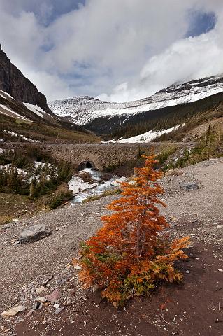 086 Glacier NP.jpg